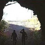 odarda