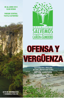 CartelAlertaCanonSumidero