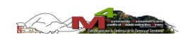 LOGOM4