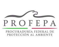 prof