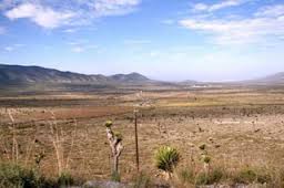 esierto