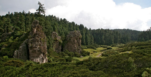 parque-nacional-el-chico(1)